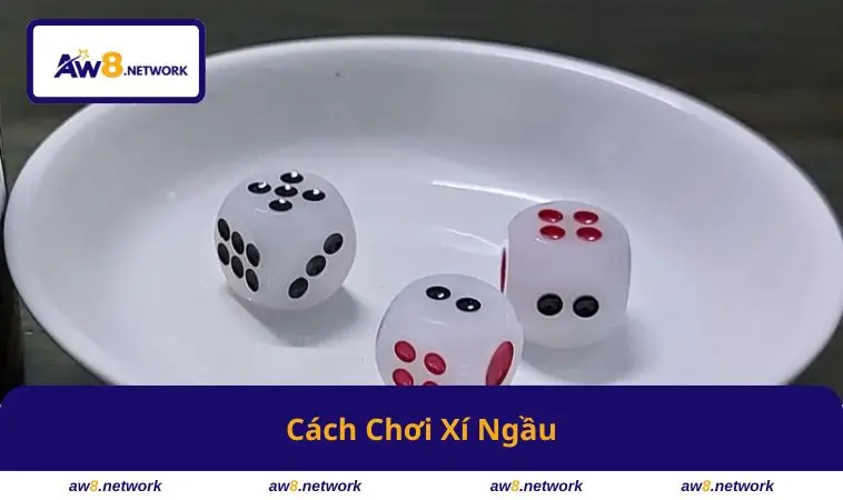 Cách Chơi Xí Ngầu