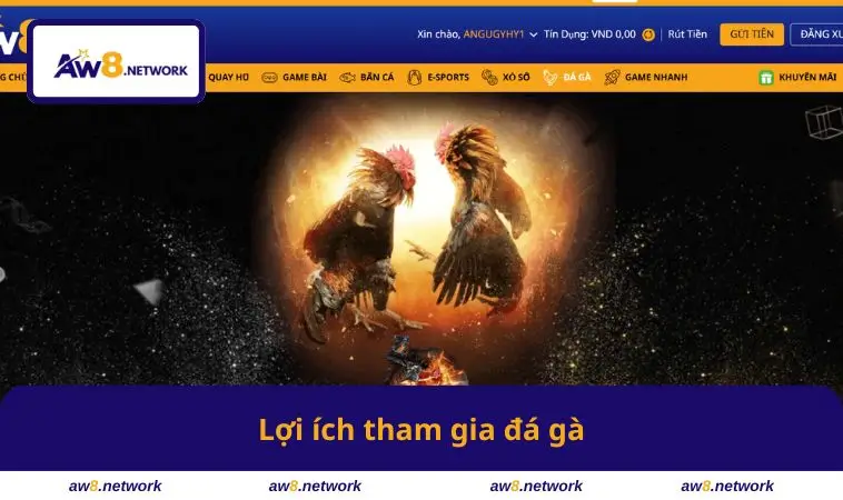 Lợi ích tham gia đá gà