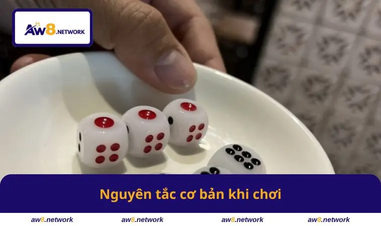 Nguyên tắc cơ bản khi chơi