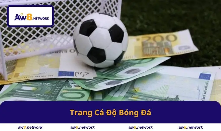 Trang Cá Độ Bóng Đá